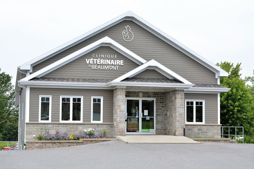 Clinique Vétérinaire de Beaumont | 346 Route du Fleuve, Beaumont, QC G0R 1C0, Canada | Phone: (418) 838-3030