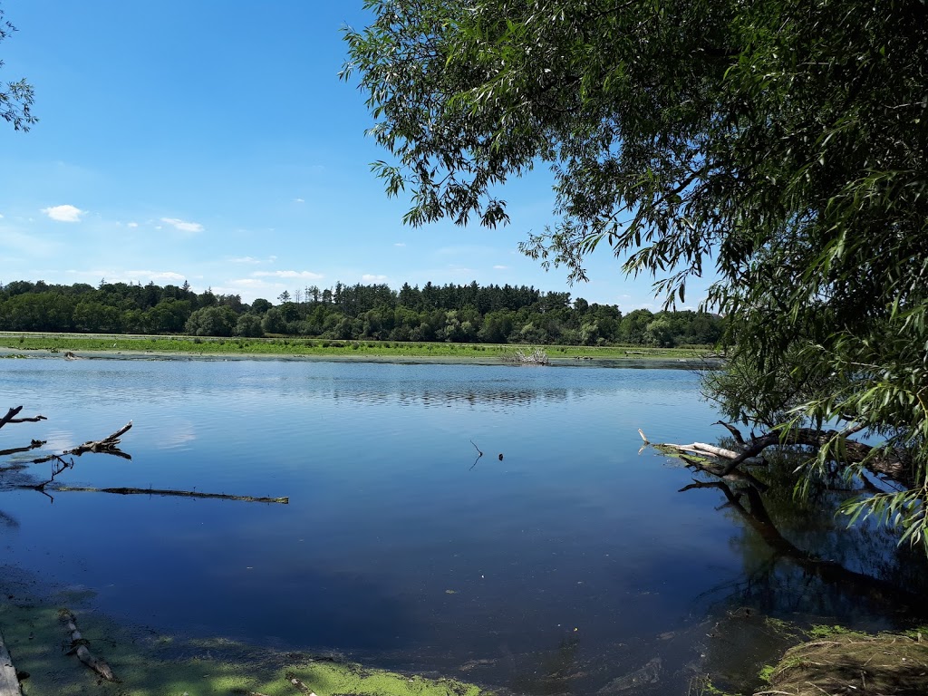 Hespeler Mill Pond | Cambridge, ON N0B, Canada