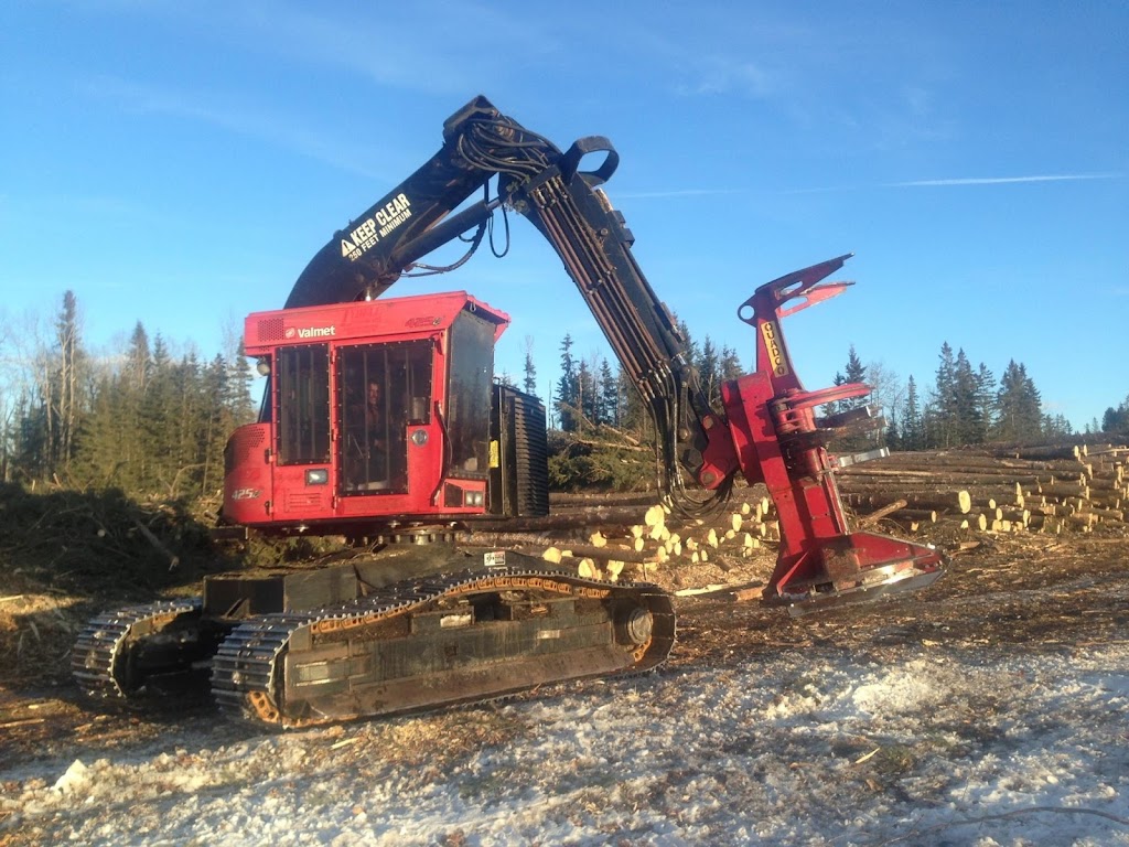 Lil Mule Logging Inc | 19 Varty Close, Red Deer, AB T4R 0G1, Canada | Phone: (403) 318-4346