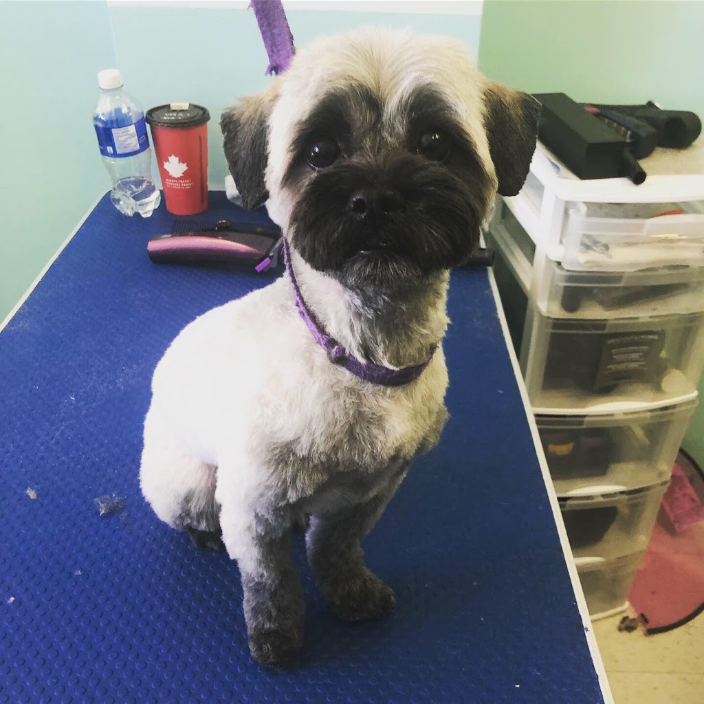 Bluffs Dog Grooming/Kristy’s Mutt Cutts | 2430 Kingston Rd, Scarborough, ON M1N 1V3, Canada | Phone: (416) 261-9855