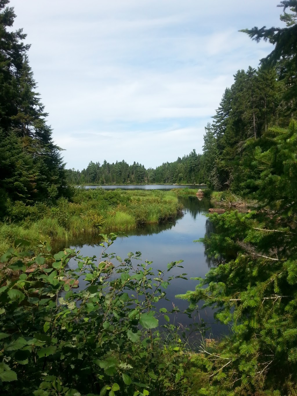 Parc mauricie | Saint-Mathieu-du-Parc, QC G0X 1N0, Canada