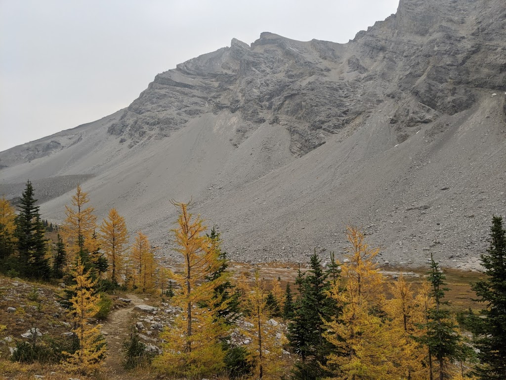 Buller Mountain Day Use | Spray Valley Provincial Park - Kananaskis Country, Alberta T0L 2C0, Canada | Phone: (403) 678-0760