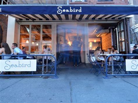 Seabirds | 4019 Bloor St W Apt 102, Etobicoke, ON M9B 1M4, Canada | Phone: (647) 568-1570