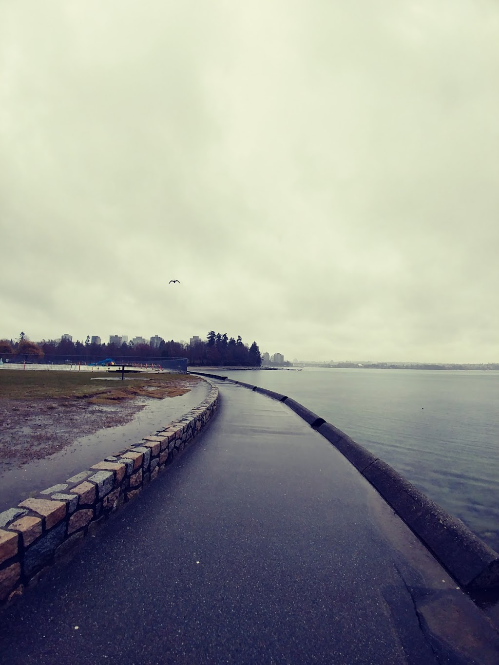 Stanley Park Seawall | Stanley Park Dr, Vancouver, BC, Canada | Phone: (604) 873-7000