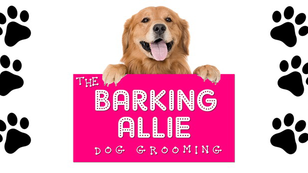 The Barking Allie Dog Grooming | 30 Hummingbird Ln, St Thomas, ON N5R 6L8, Canada | Phone: (226) 476-5457