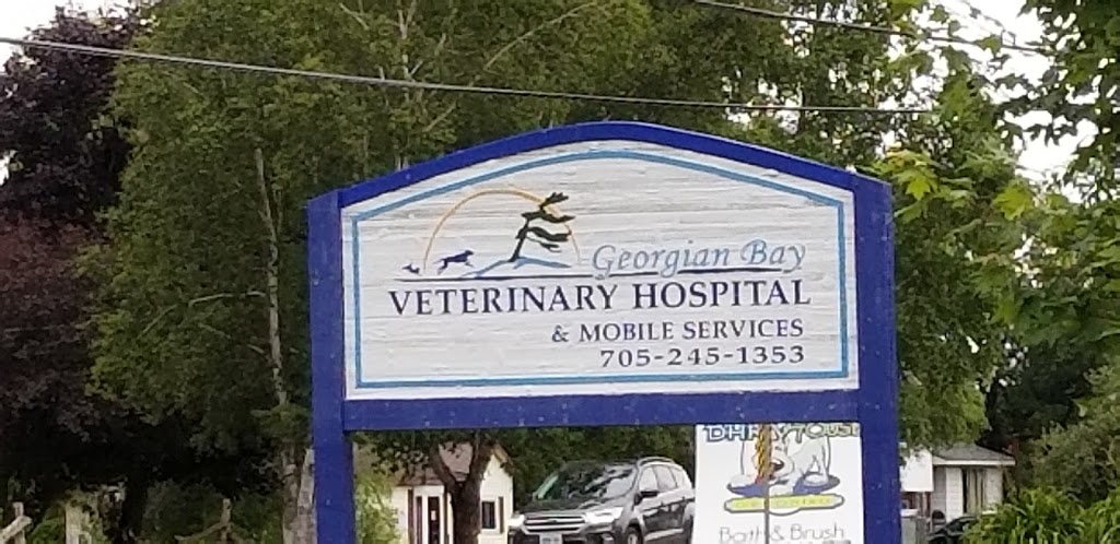 Georgian Bay Veterinary Hospital & Mobile Services | 2 Concession Rd 9 E, Tiny, ON L0L 2J0, Canada | Phone: (705) 245-1353