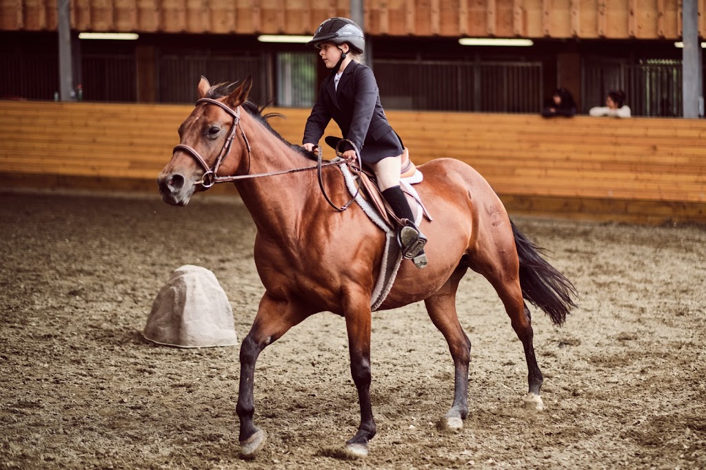 Cedar Vista Stables | rd 3x8, 4060 Happy Valley Rd, Victoria, BC V9C 3X8, Canada | Phone: (250) 391-1484