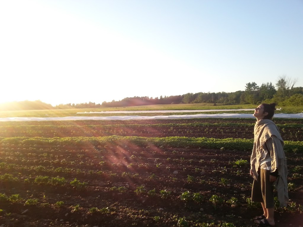 Ferme Pleine Lune | 24 Chem. 6 Line, Bristol, QC J0X 1G0, Canada | Phone: (819) 921-5534