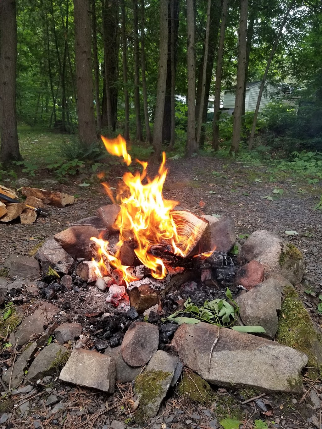 Camping écologique de Frelighsburg | 174 Route 237 sud, Frelighsburg, QC J0J 1C0, Canada | Phone: (877) 298-5259