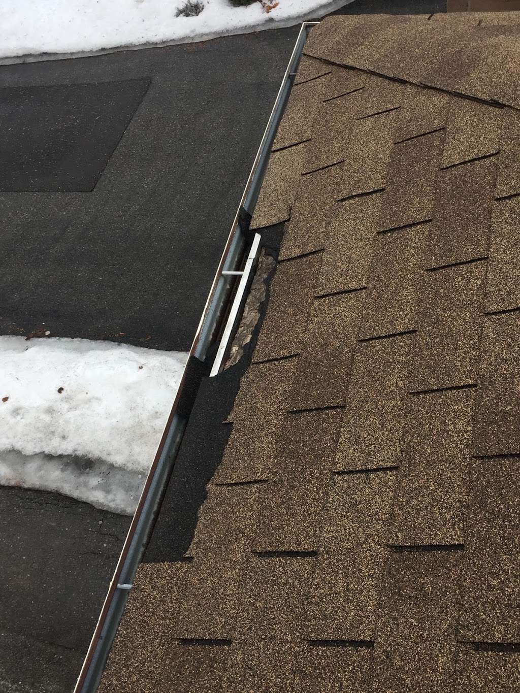 Blackbird Roofing | 485 Tennyson Ct, Oshawa, ON L1K 3K8, Canada | Phone: (905) 431-4481