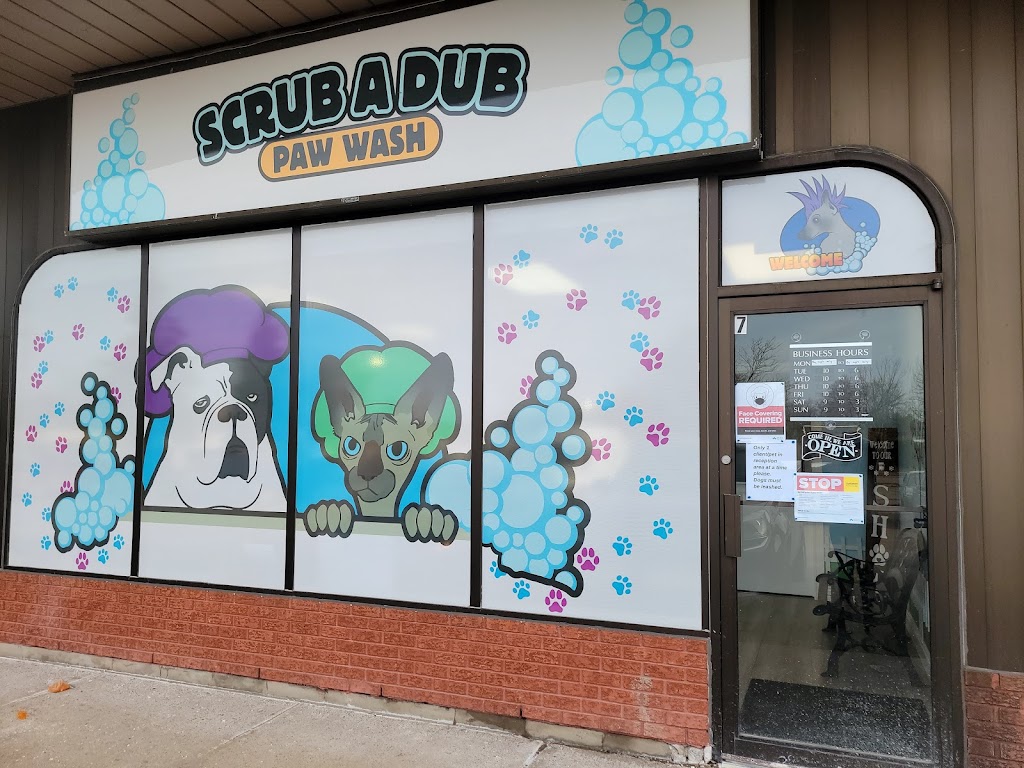 Scrub A Dub Paw Wash | 400 Elliott Ave, Kingston, ON K7K 6M9, Canada | Phone: (613) 544-7824