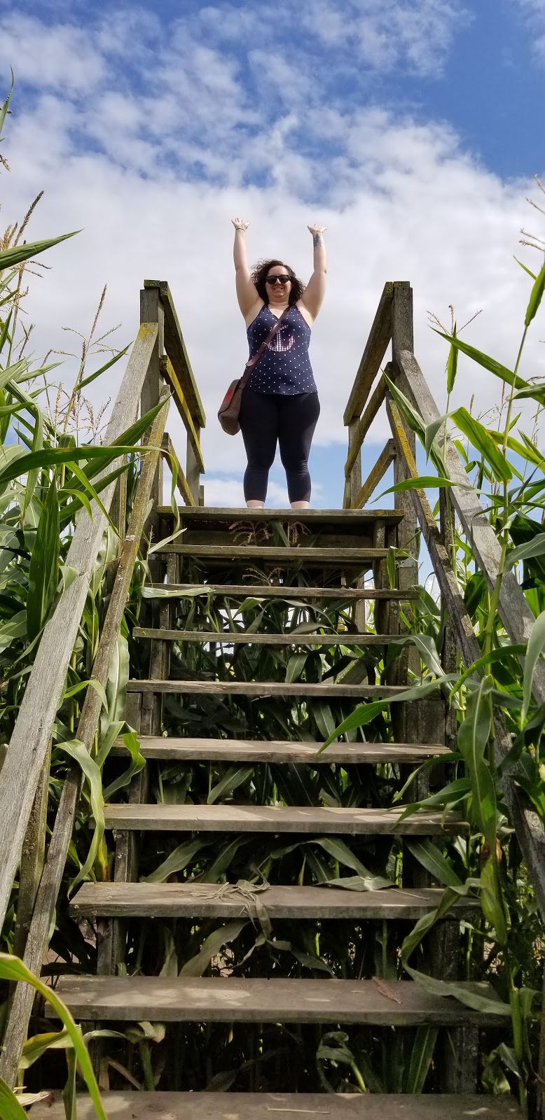 Bose Farms Corn Maze | 5948 156 St, Surrey, BC V3S 4N8, Canada | Phone: (778) 578-5450