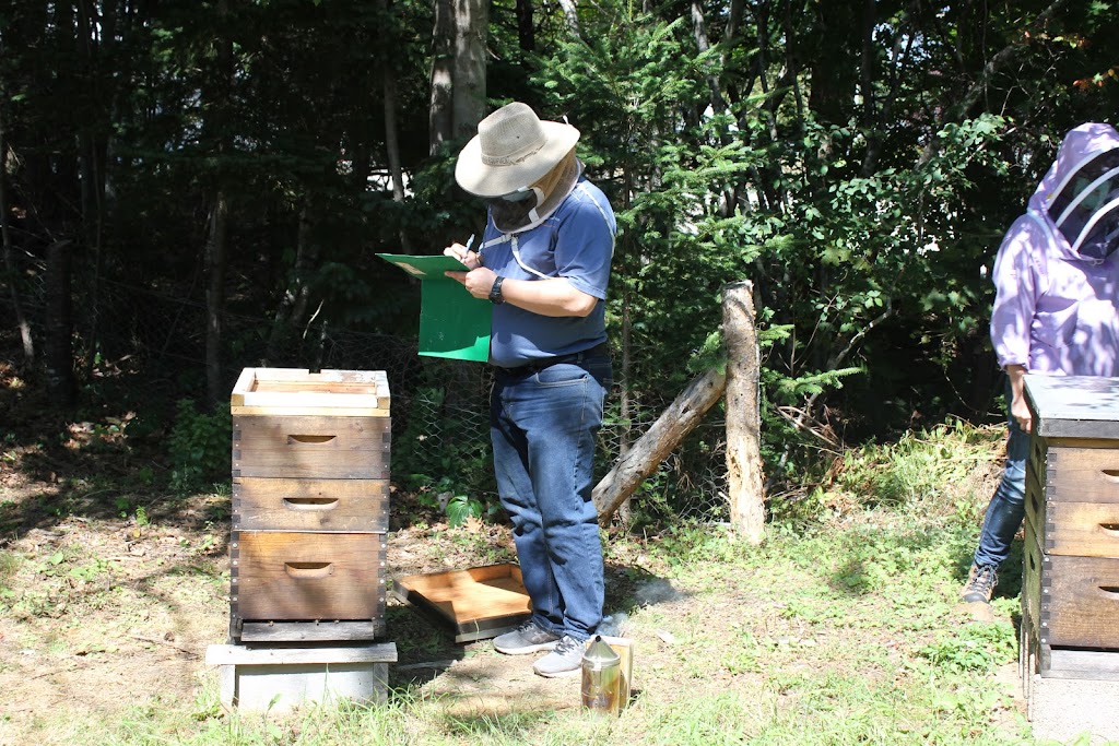 Beeyond the Vail Beekeeping | 114 Pig Loop Rd, Chester, NS B0J 1J0, Canada | Phone: (902) 973-1149