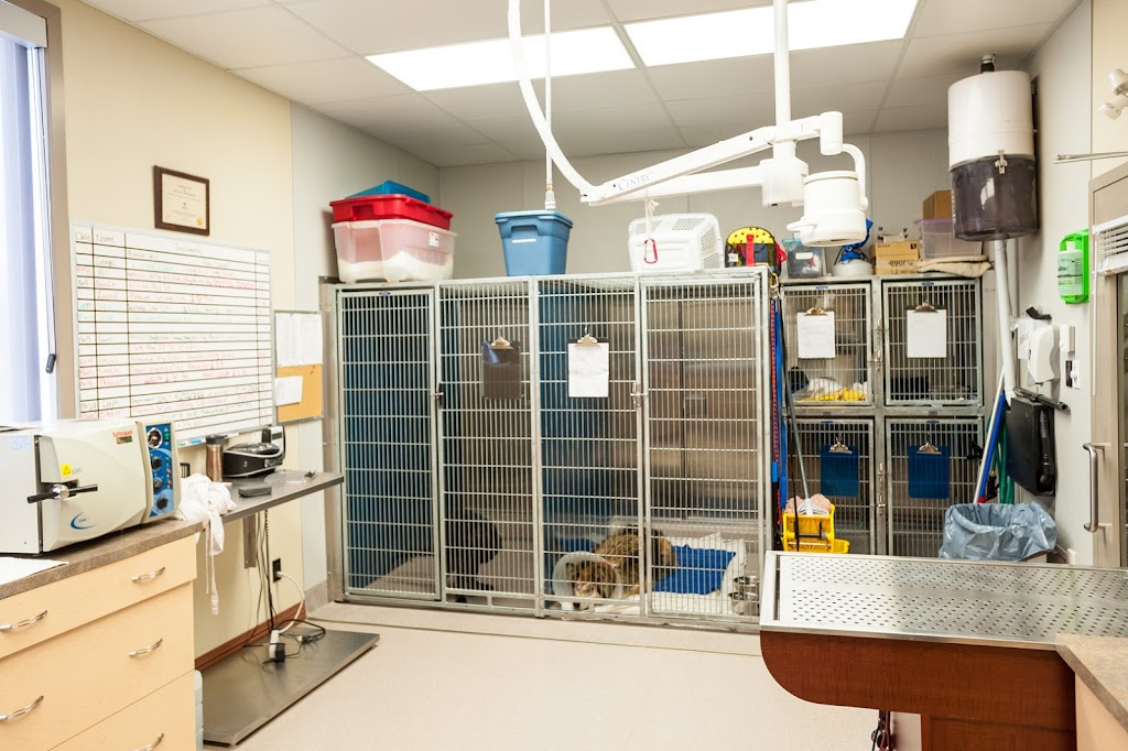 Central Alberta Humane Society | 4505 77 St, Red Deer, AB T4P 2J1, Canada | Phone: (403) 342-7722