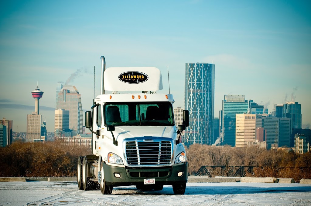 Yellow Dog Trucking Ltd | 6463 86 Ave SE, Calgary, AB T2C 2S4, Canada | Phone: (403) 516-3788