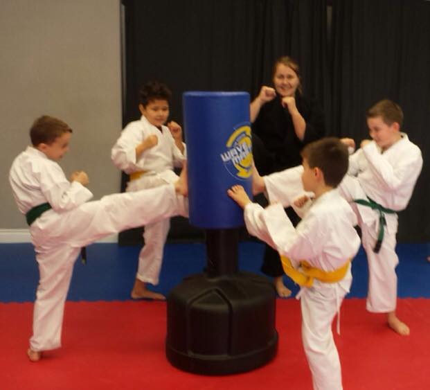 Strive Martial Arts | 3955 Old Richmond Rd, Nepean, ON K2H 5C5, Canada | Phone: (613) 859-0702