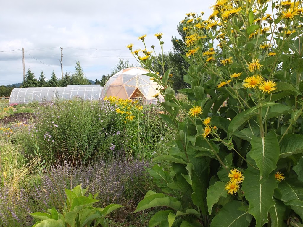 Fireweed Farm & School / Ravensong Seeds | 7159 Wallace Dr, Brentwood Bay, BC V8M 1G9, Canada | Phone: (250) 652-2655