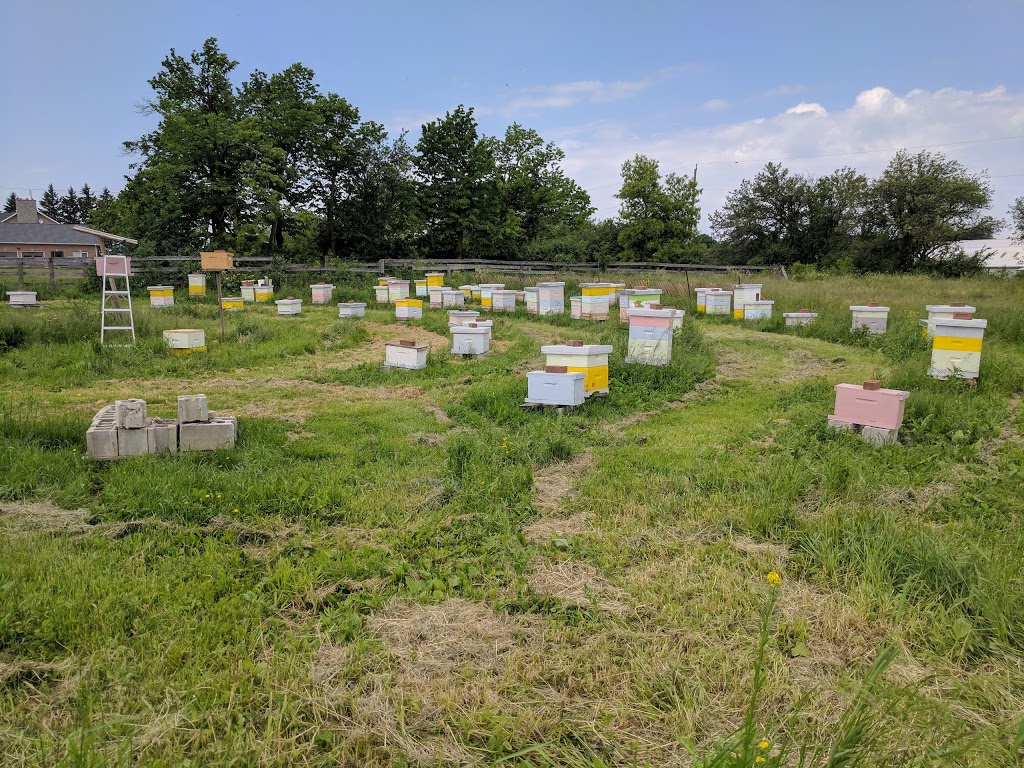 Circling Hawk Honey Farm | 13433 Leslie St, Richmond Hill, ON L4E 1A2, Canada | Phone: (289) 809-4360