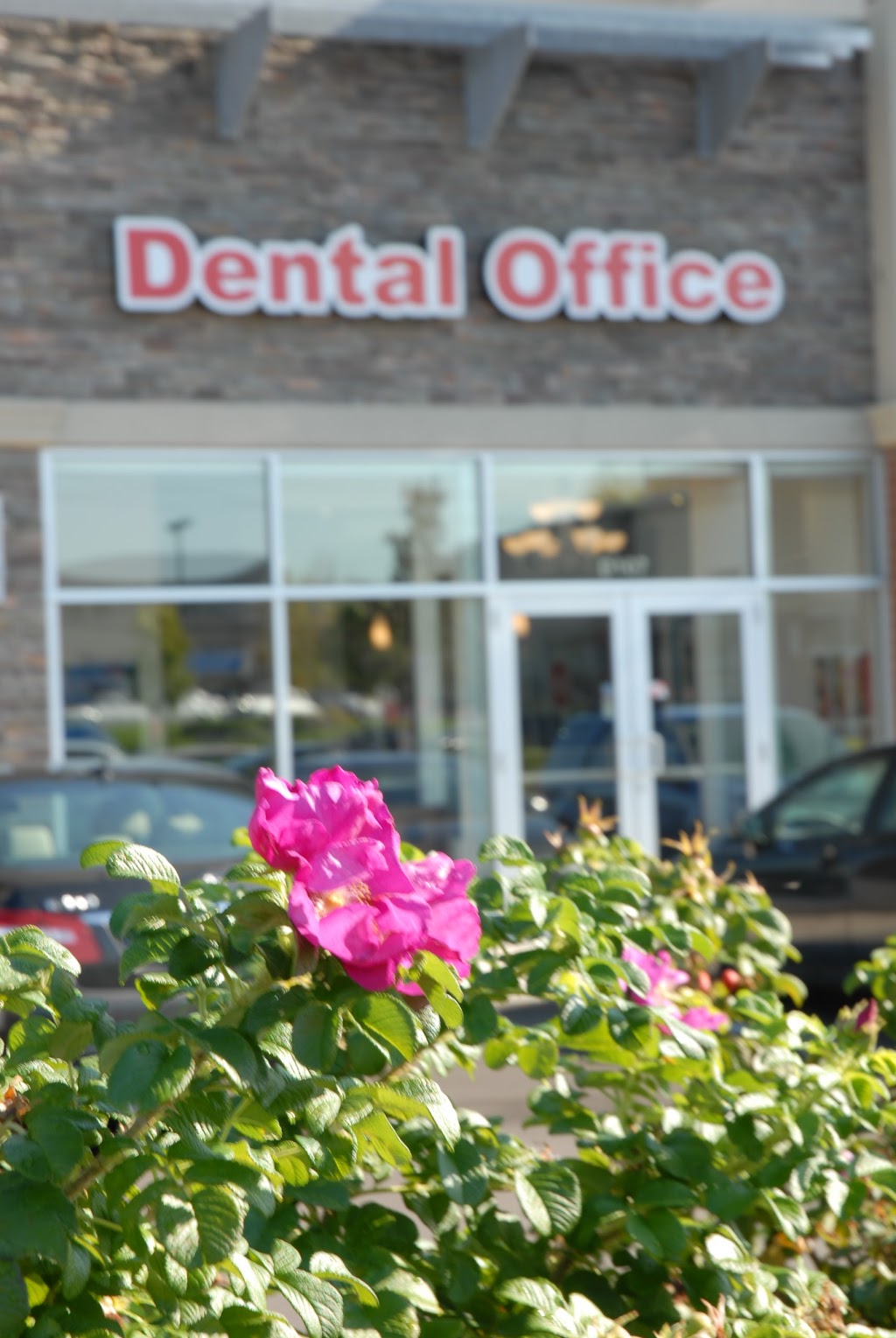 Van Mills Dental Dr. DeMarchi | 1900 Fowler Dr Unit D107, Mississauga, ON L5K 0A1, Canada | Phone: (905) 823-7600