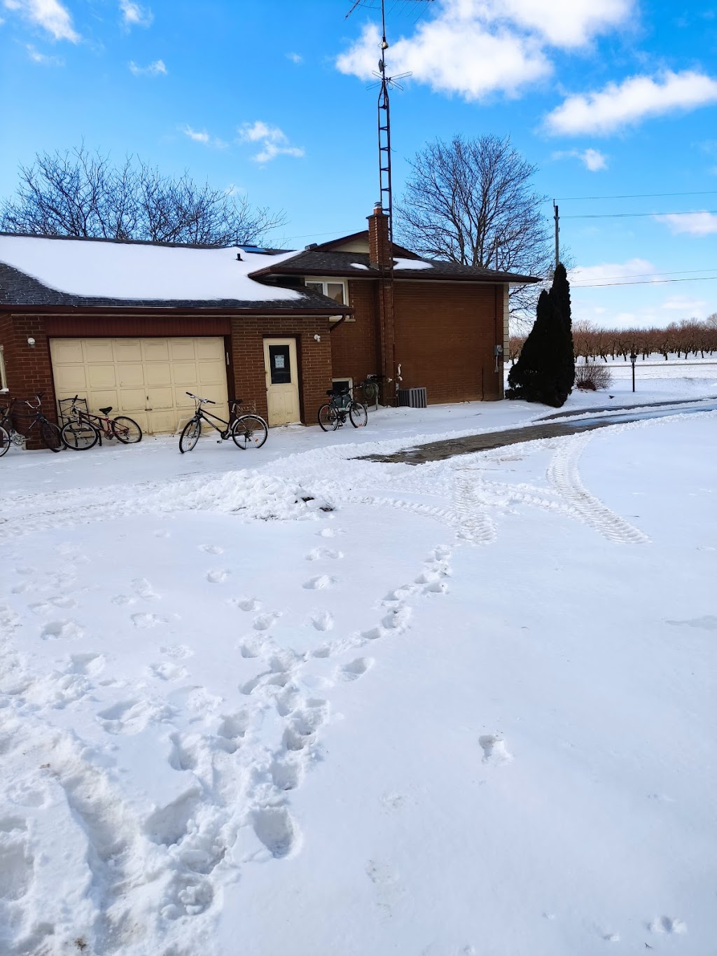 Niagara 4 Mile Creek Farms | 2021 Four Mile Creek Rd, Niagara-on-the-Lake, ON L0S 1J0, Canada | Phone: (905) 348-1999