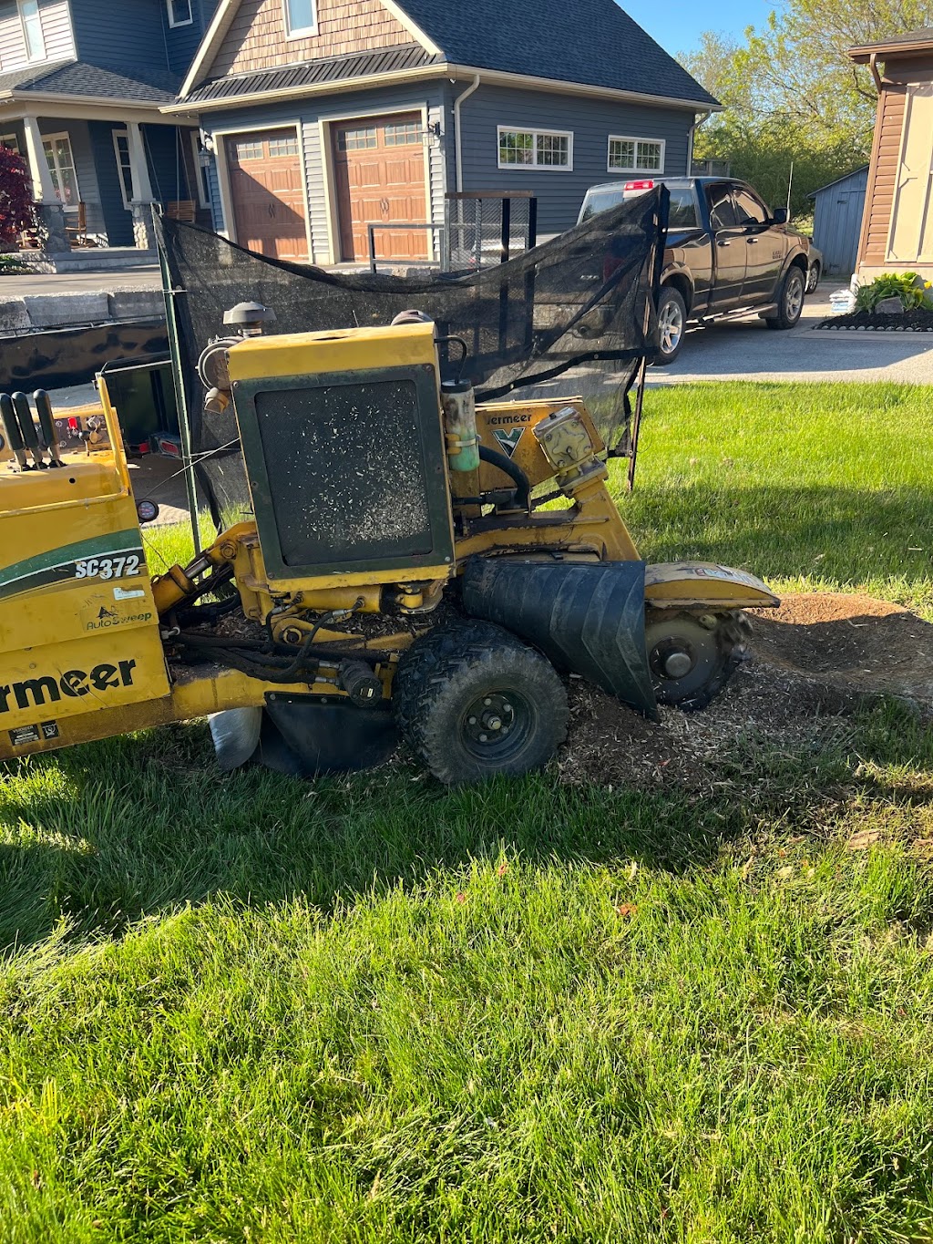 Dynamic Stump Grinding | 9 Dietz St, Mildmay, ON N0G 2J0, Canada | Phone: (204) 939-3371