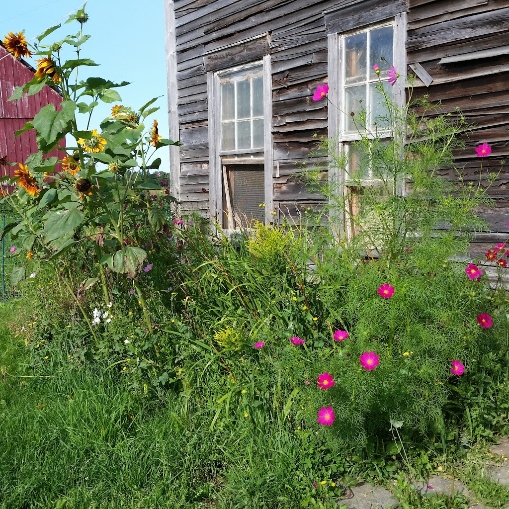 Ferme coopérative Point du Jour | 815 Chem. de Hardwood Flat, Bury, QC J0B 1J0, Canada | Phone: (819) 872-3876