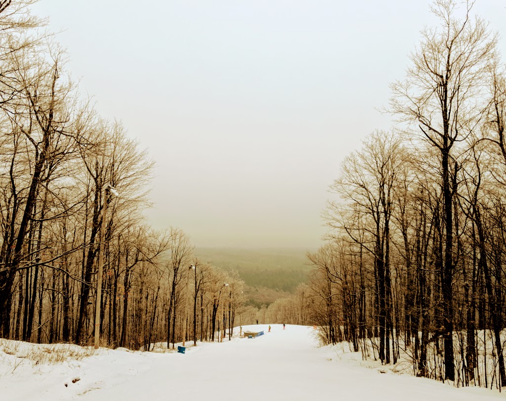 Camp Fortune Ski Aerial Park and Ziplines | 300 Chemin Dunlop, Parc de la Gatineau Park, Chelsea, QC J9B 2N3, Canada | Phone: (819) 827-1717