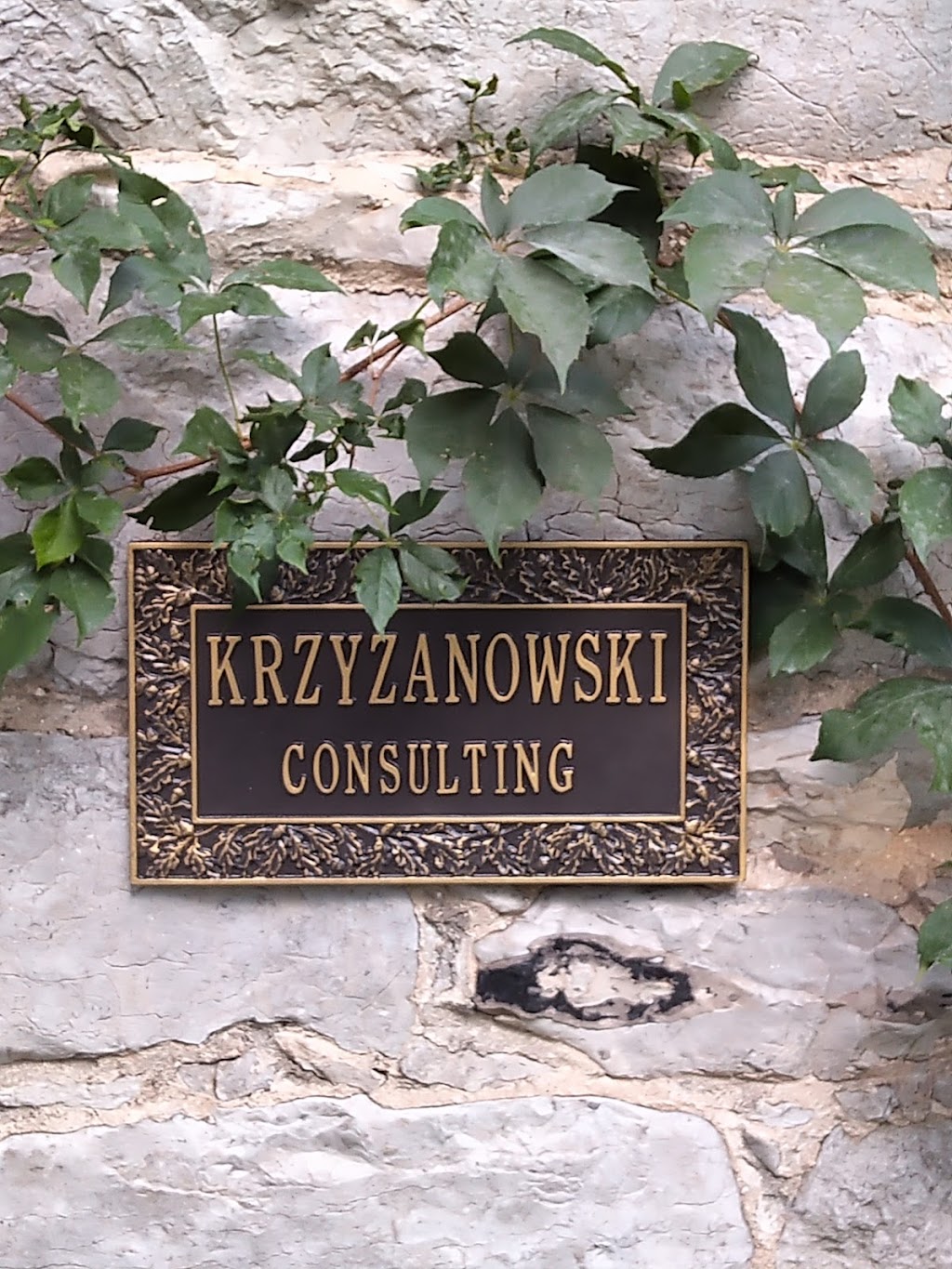 Krzyzanowski Consulting | 1967 Moira Rd, Roslin, ON K0K 2Y0, Canada | Phone: (613) 395-9338