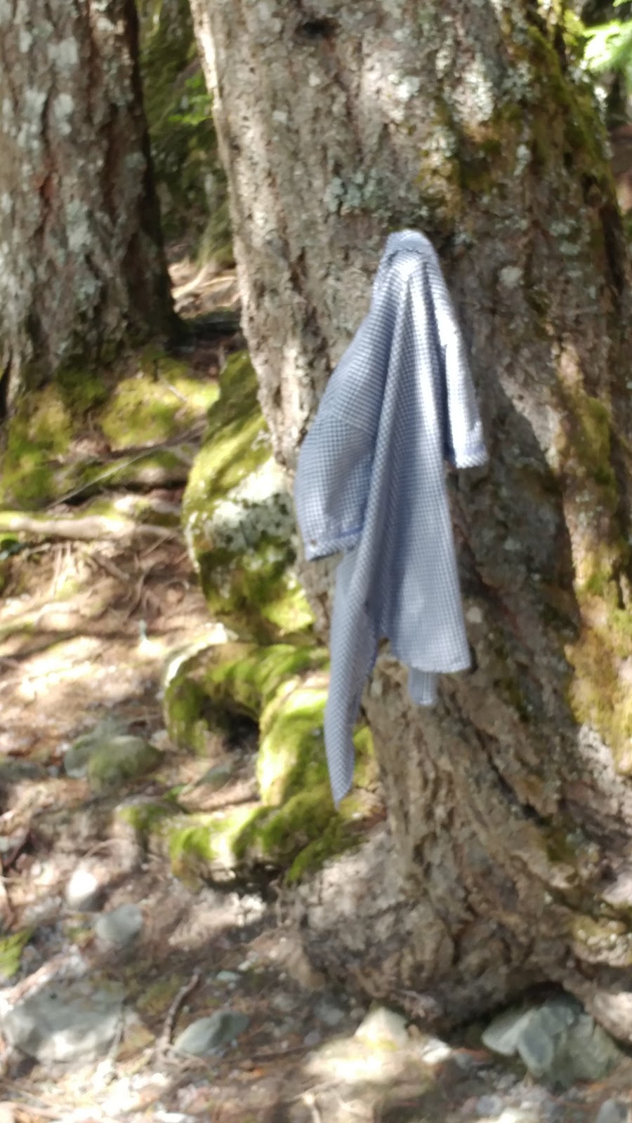 Pull-off | 840 Sea-to-Sky Hwy, Squamish, BC V8B 0P6, Canada