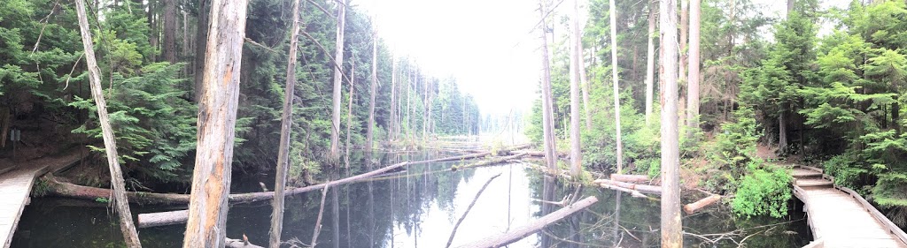 Woodhaven Swamp | Woodhaven, Belcarra, BC V3H 4R6, Canada