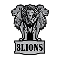 3 Lions Slingers | 28948 Simpson Rd, Abbotsford, BC V4X 1H9, Canada | Phone: (778) 246-0082