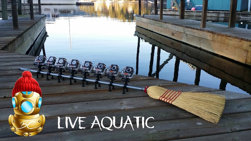 LIVE Aquatic BC | 5010 Johnstone Rd, Madeira Park, BC V0N 2H1, Canada | Phone: (604) 212-2345