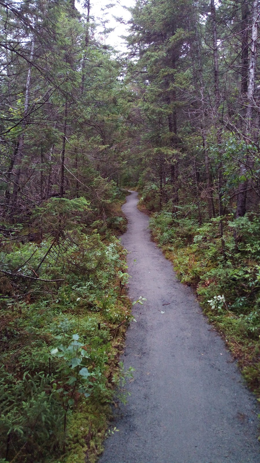 Moose Bog Trail lot | 05846 VT-105, Island Pond, VT 05846, USA