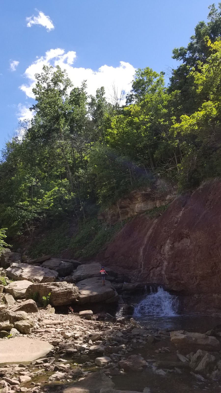 Lower Westcliffe/Lower Cliffview Falls | Chedoke Park B, Hamilton, ON L9C 5B5, Canada