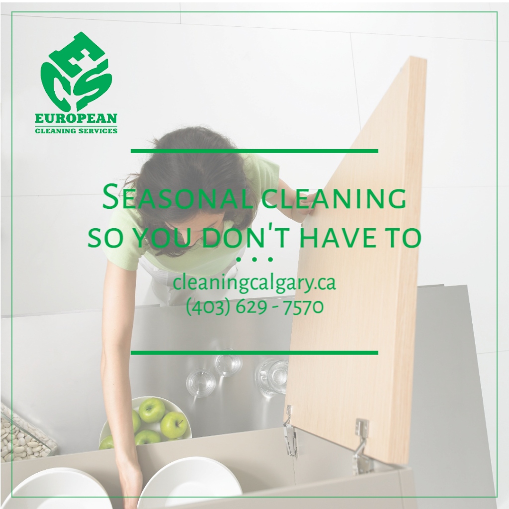 European Cleaning Services | 10 Prestwick Bay SE, Calgary, AB T2Z 0E6, Canada | Phone: (403) 629-7570