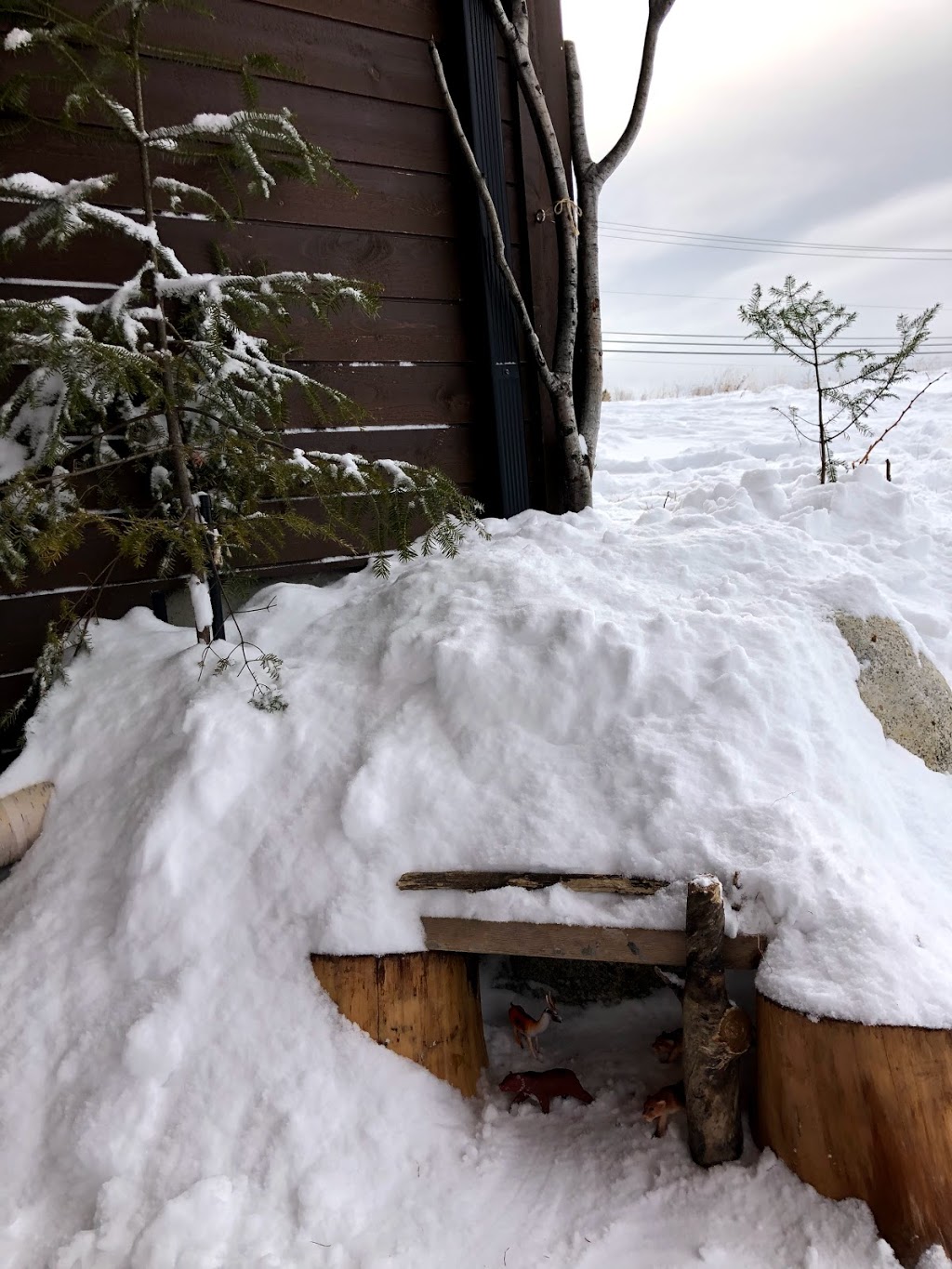 Nursery Bulle De Neige | 2760 Rue Agnès, Lac-Mégantic, QC G6B 1K6, Canada | Phone: (819) 582-2543