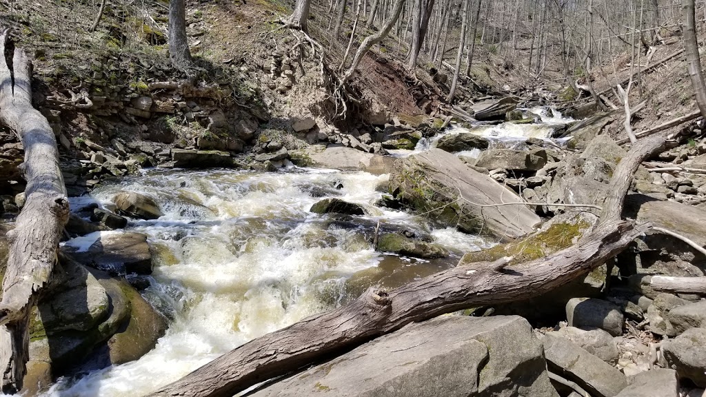 Smokey Hollow Waterfall | 80 Mill St S, Hamilton, ON L0R 2H0, Canada