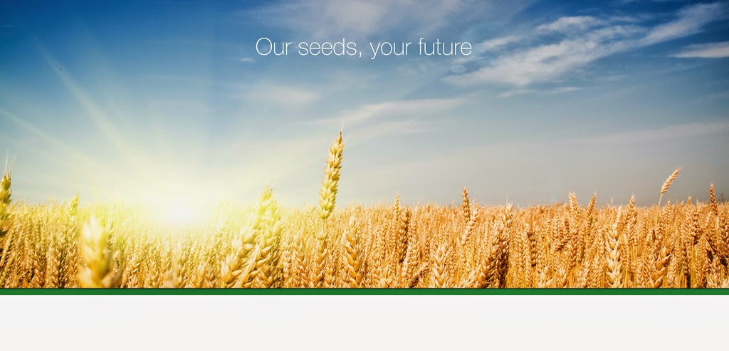 Nadeau Seeds Inc | 15008 Rd 51 North, Fannystelle, MB R0G 0P0, Canada | Phone: (204) 436-2469