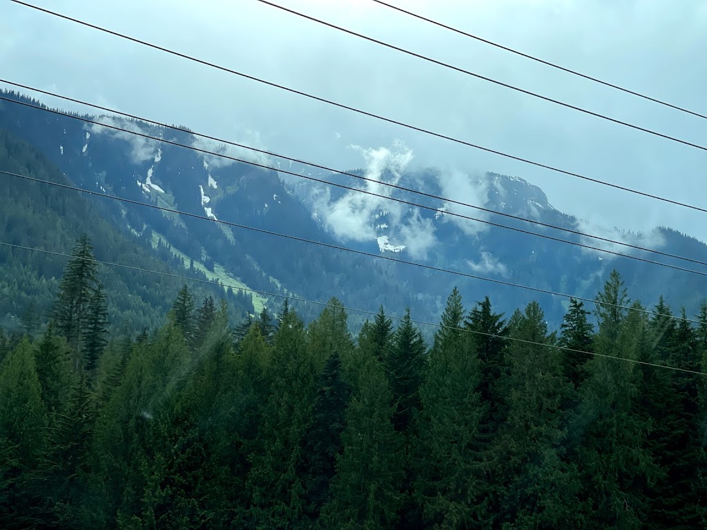 Revelstoke Community Forest Corporation | 4000 Highway 23rd North, Revelstoke, BC V0E 2S0, Canada | Phone: (250) 837-5733