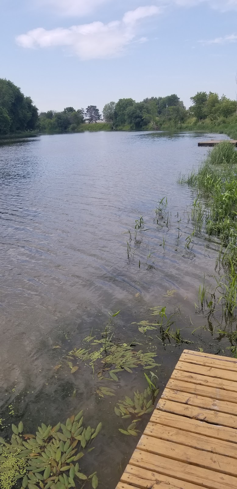 Descente De Bateaux St-Damase | 241 Rang de la Presquîle, Saint-Damase, QC J0H 1J0, Canada | Phone: (450) 797-3341