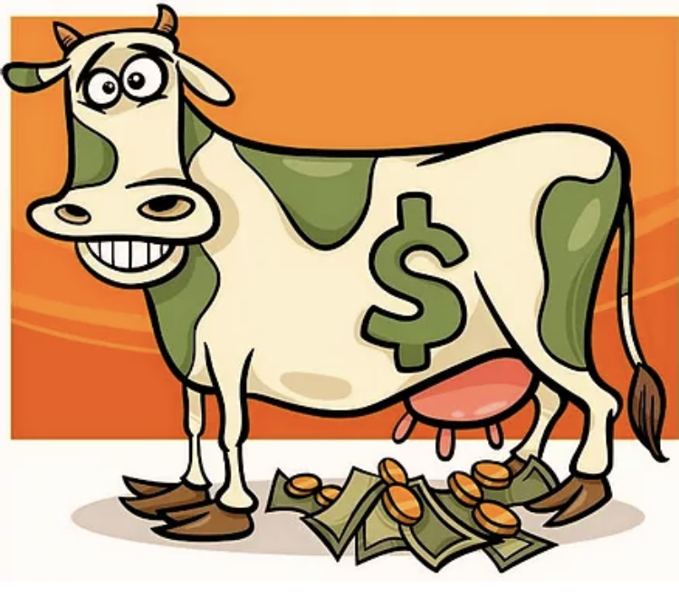 Cash Cow Financial | 1575 Lakeshore Rd W, Mississauga, ON L5J 1J4, Canada | Phone: (844) 910-2274