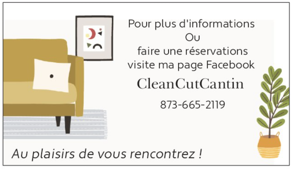 Service Dentretien Ménagé Résidentiel C.C.C | Rue Romulus, Victoriaville, QC G6P 3W3, Canada | Phone: (873) 665-2119