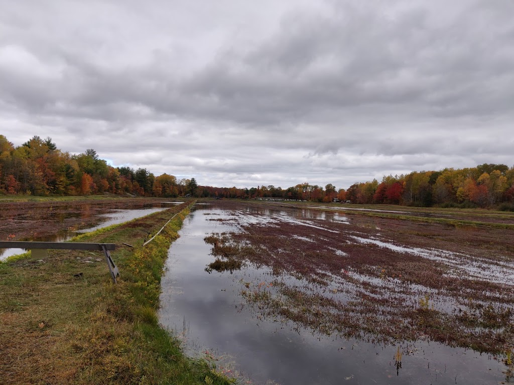 Muskoka Lakes Farm & Winery | 1074 Cranberry Rd, Bala, ON P0C 1A0, Canada | Phone: (705) 762-3203