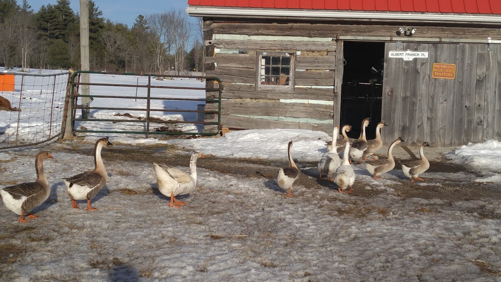 Quaker Oaks Farm | 789 Monck Rd, Sebright, ON L0K 1W0, Canada | Phone: (705) 833-2370