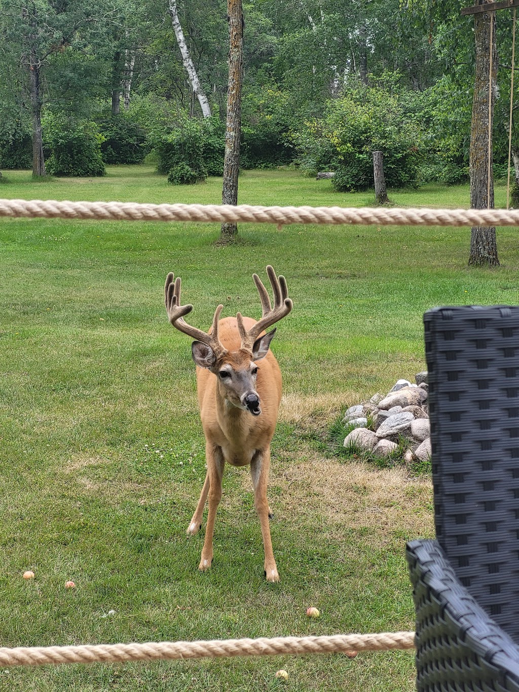 Buffalo Point Resort | 20 Buffalo Point Rd, Buffalo Point, MB R0A 2W0, Canada | Phone: (204) 437-2777