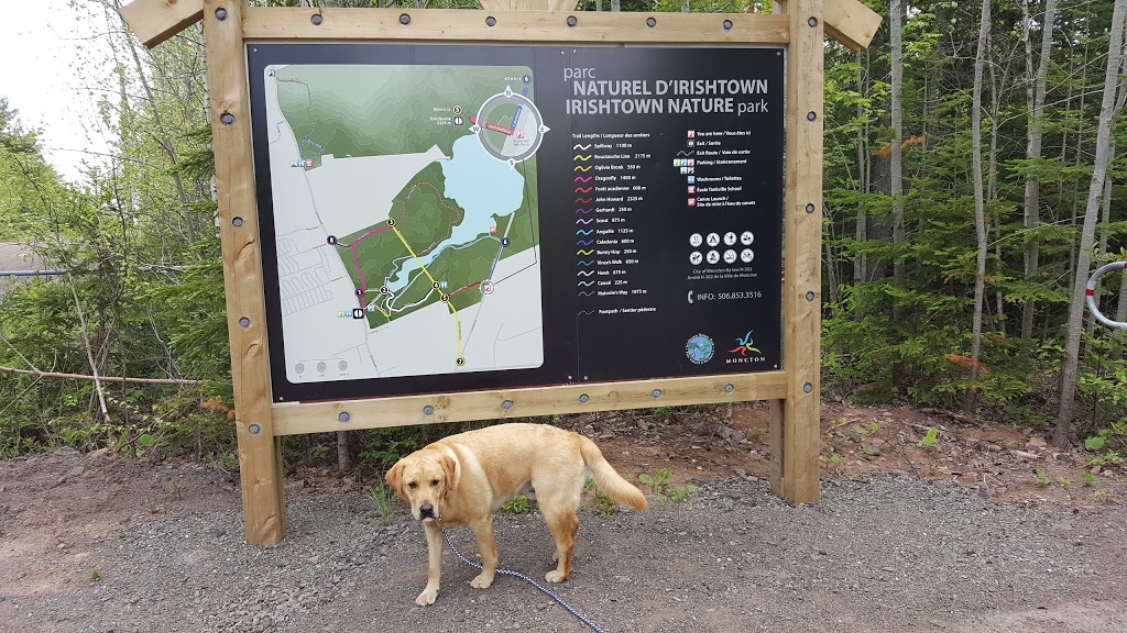 Irishtown Nature Park | 1155 Elmwood Dr, Moncton, NB E1H 2H7, Canada | Phone: (506) 853-3516