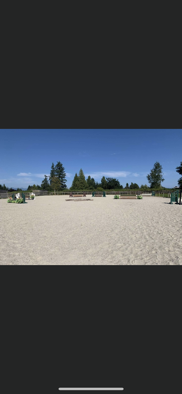 Priority 1 Equestrian | 25241 Fraser Highway Langley City, Langley Twp, BC V4W 1Z9, Canada | Phone: (604) 240-3198