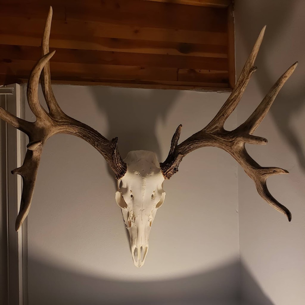 Gates Taxidermy | 403 Rue Desautels, Winnipeg, MB R2H 0J6, Canada | Phone: (204) 989-0188