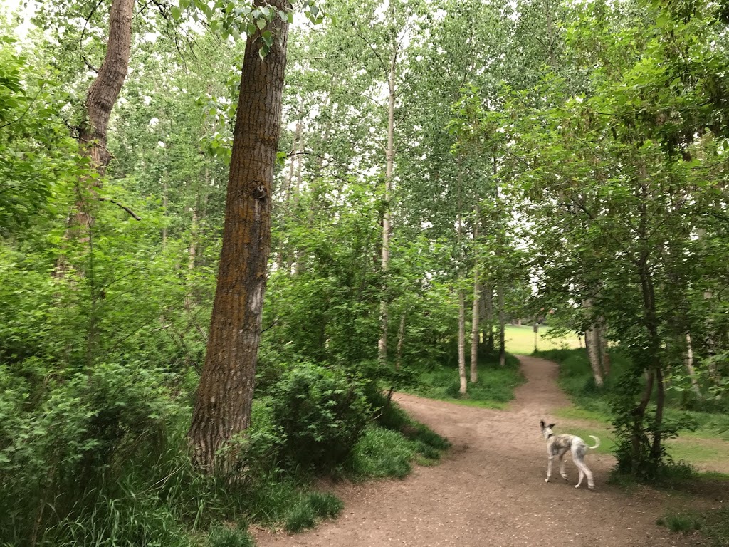 Jackie Parker Off-Leash Dog Park | AB-14, Edmonton, AB T6L 6B6, Canada