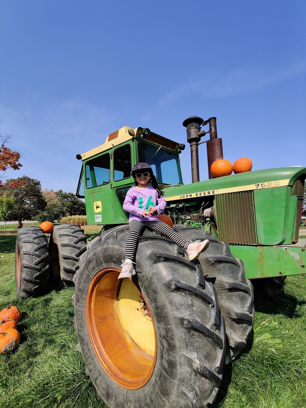 Knoxs Pumpkin Farm | 6325 Enfield Rd, Hampton, ON L0B 1J0, Canada | Phone: (905) 263-2934